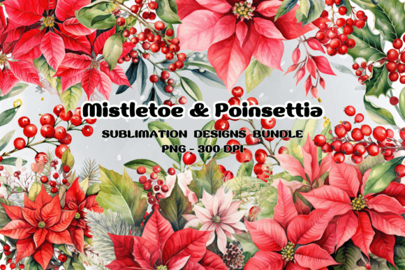 Mistletoe Poinsettia Illustrations for Festive Design